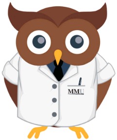 MMU Mascot Owl Hoot
