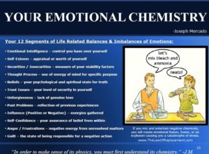 Emotions and Meanings