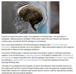 Article