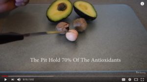 Avocado Seeds