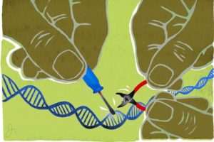 Editing DNA