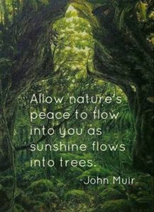 John Muir