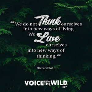 Inspirational Thinking Poster