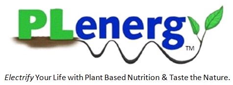 PLenergy Logo - 2