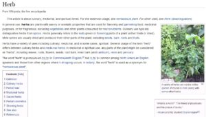 Wikipedia Definition