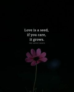 Inspirational Poster Quote