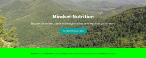Mndset-Nutrition