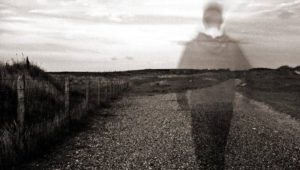 Bryan Nelson
