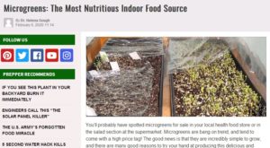 Ask A Prepper